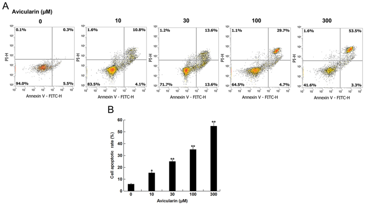 Figure 2.