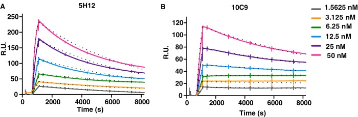 FIGURE 5.