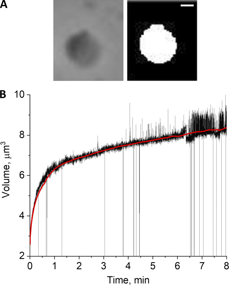 Figure 4.