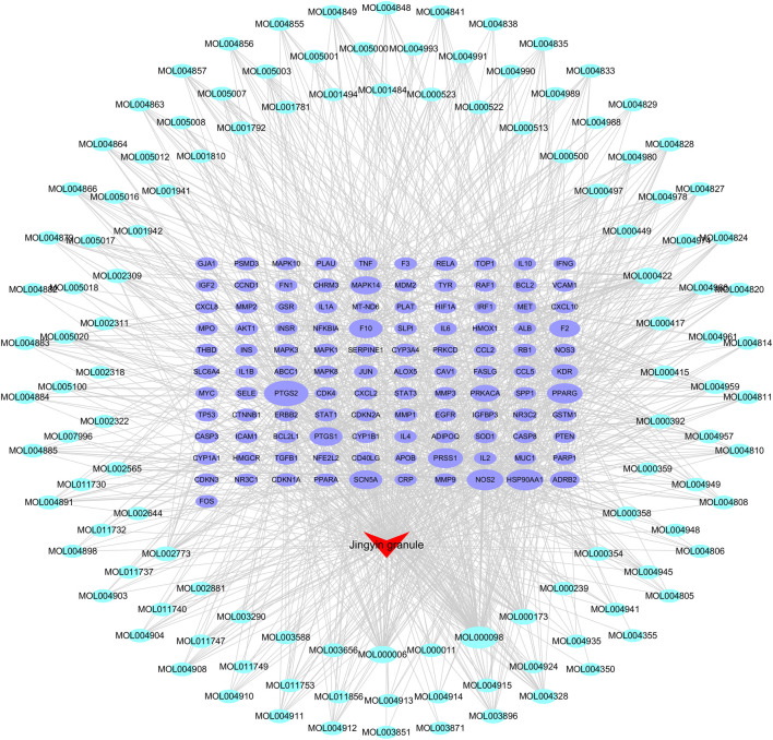 FIGURE 4