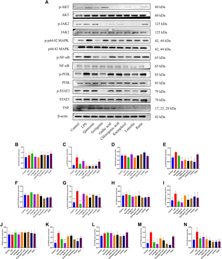 FIGURE 11