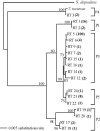 FIG. 1.