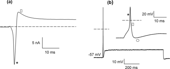 Figure 13.