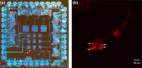 Figure 12.