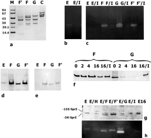 FIG. 4.