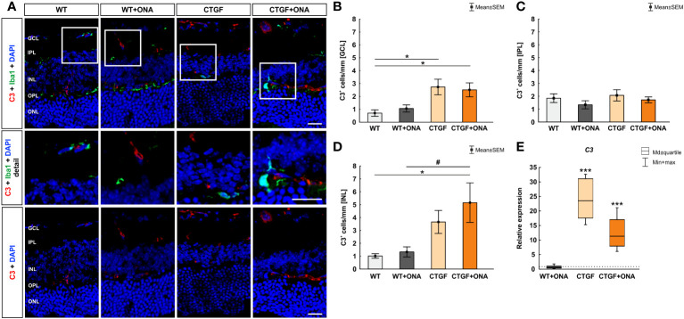 Figure 2