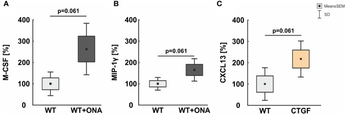 Figure 6