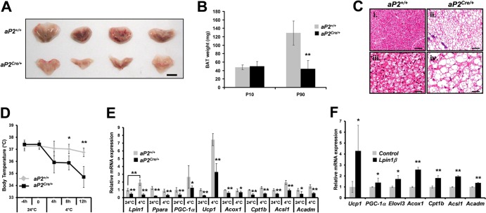 Fig 8