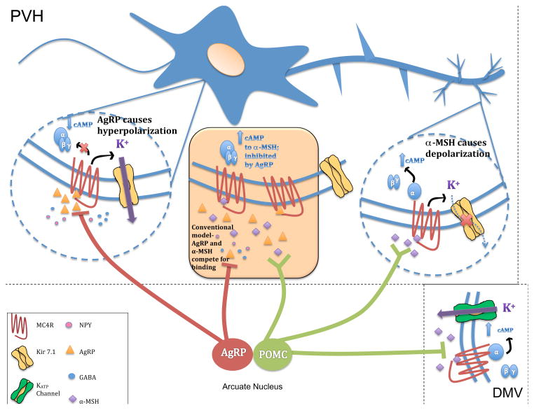 Fig. ED10