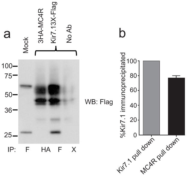 Fig. ED5