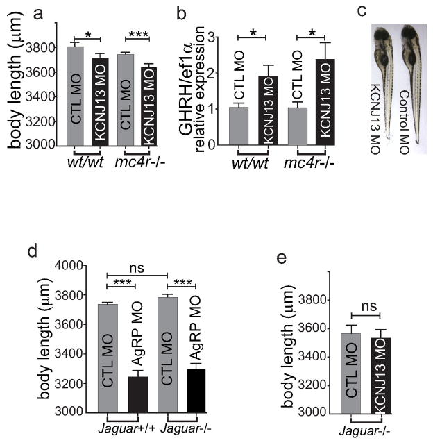 Fig. ED9