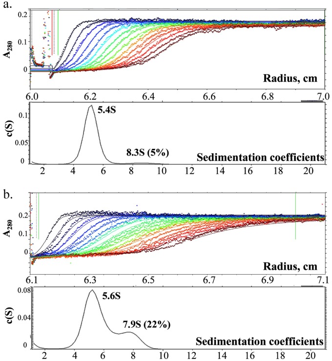 FIG 2