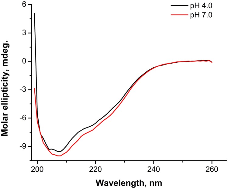 FIG 1