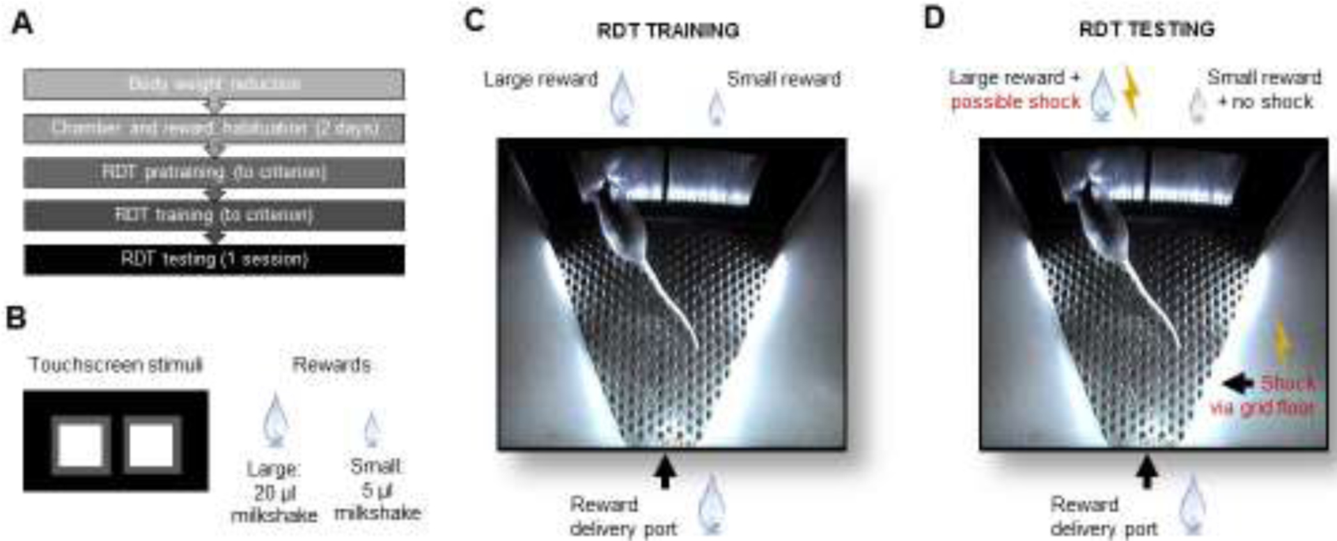 Figure 1: