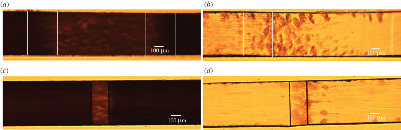 Figure 10.