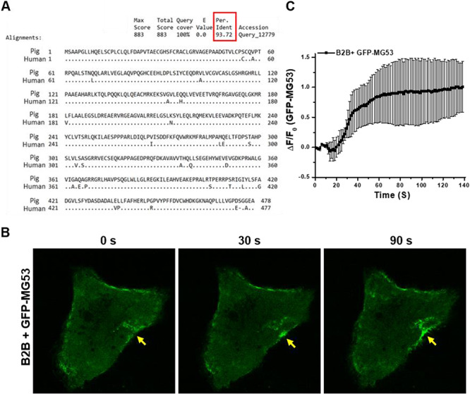 FIGURE 2.