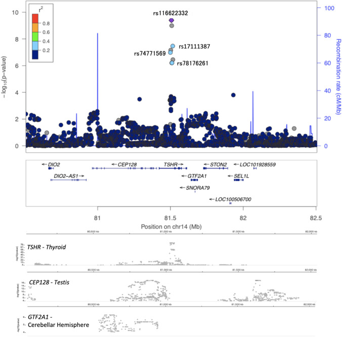 Fig. 3