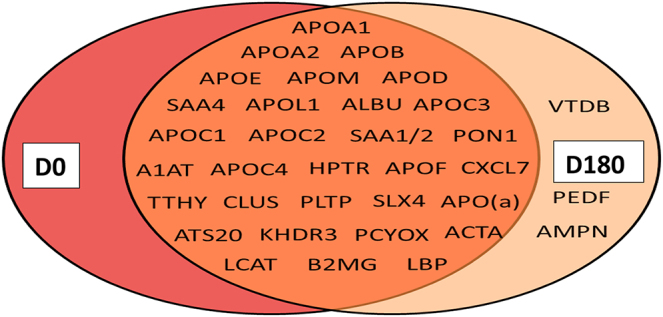 Fig. 4