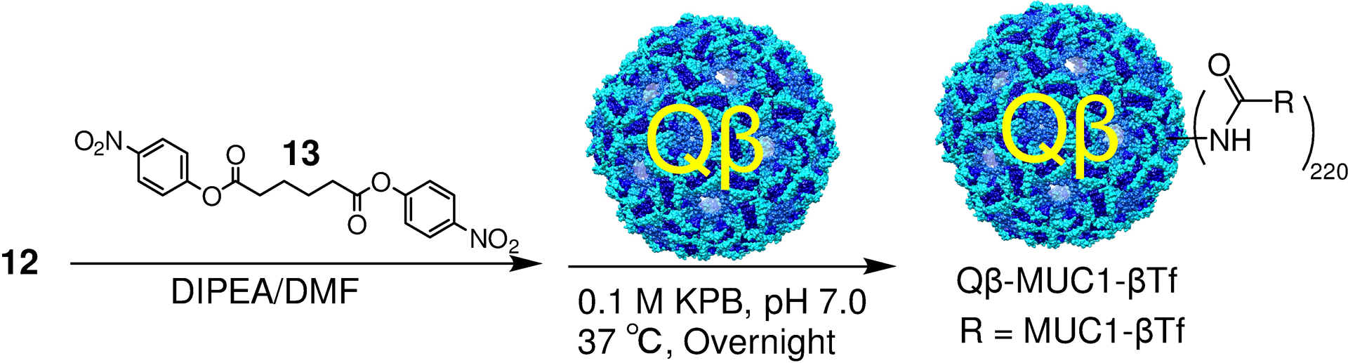 Scheme 3.