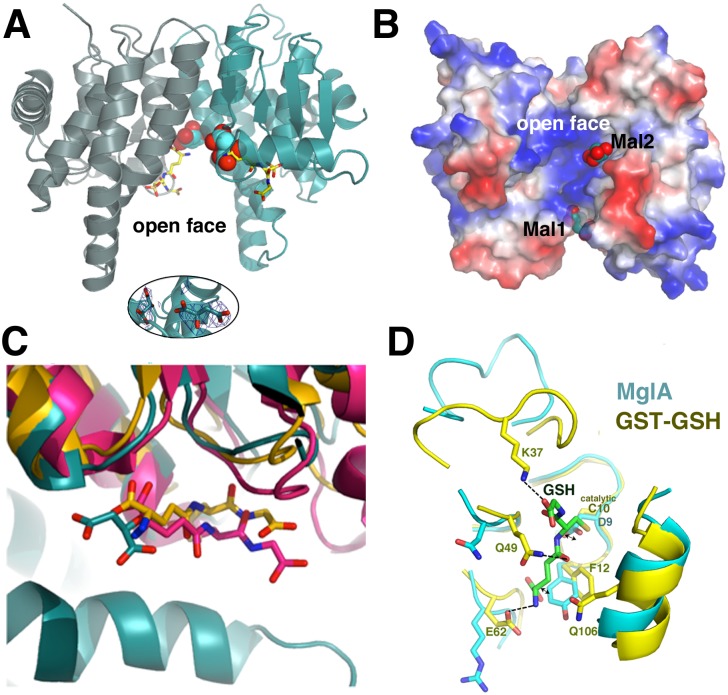 Fig 3