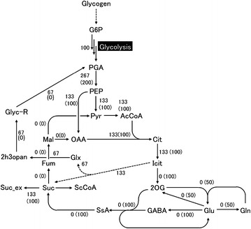 Fig. 1