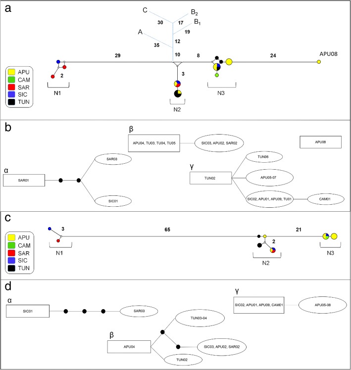 Fig. 2