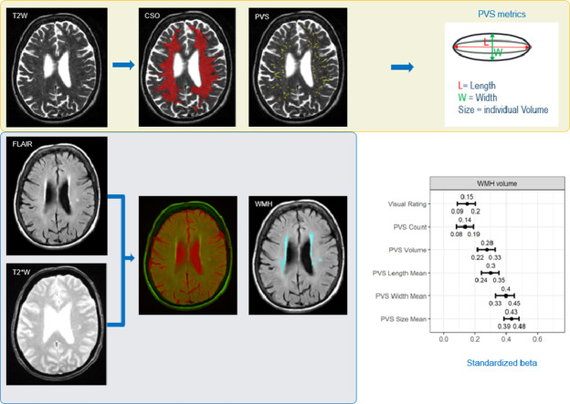 Image, graphical abstract