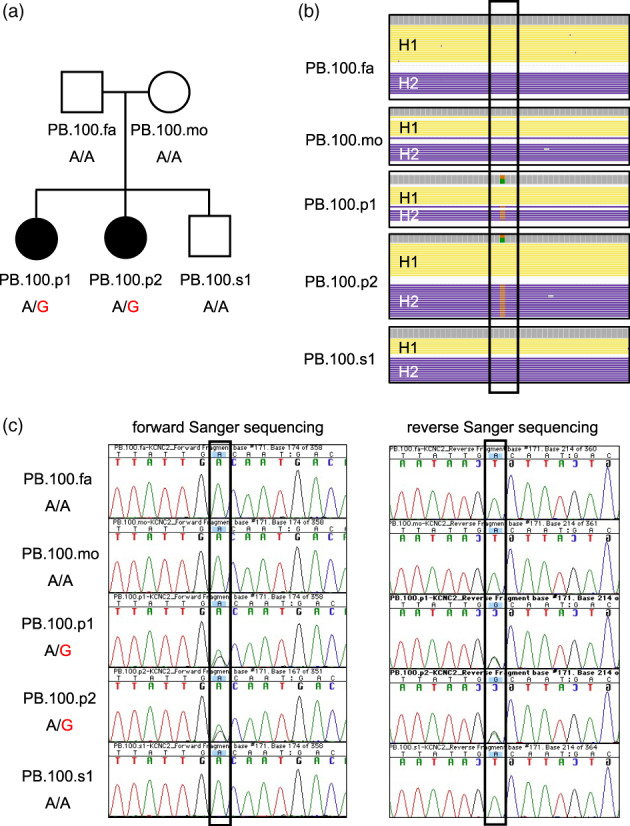 FIGURE 1