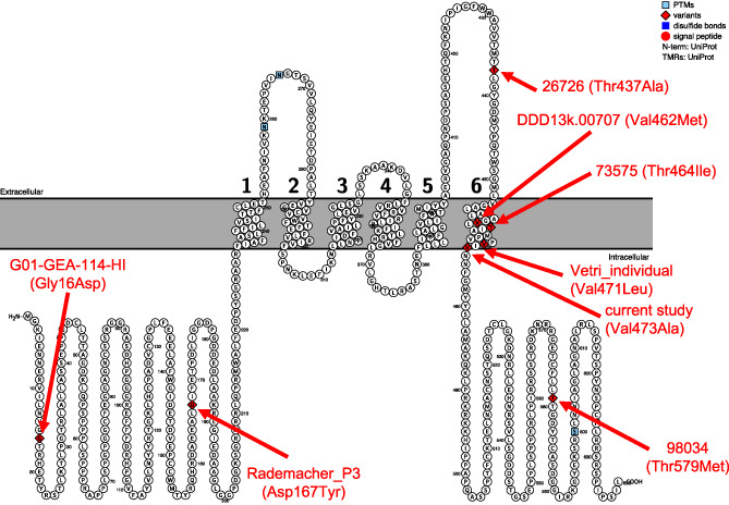 FIGURE 3