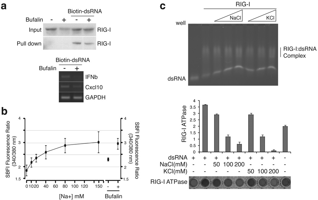 Fig.3