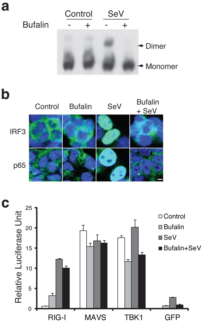 Fig.2