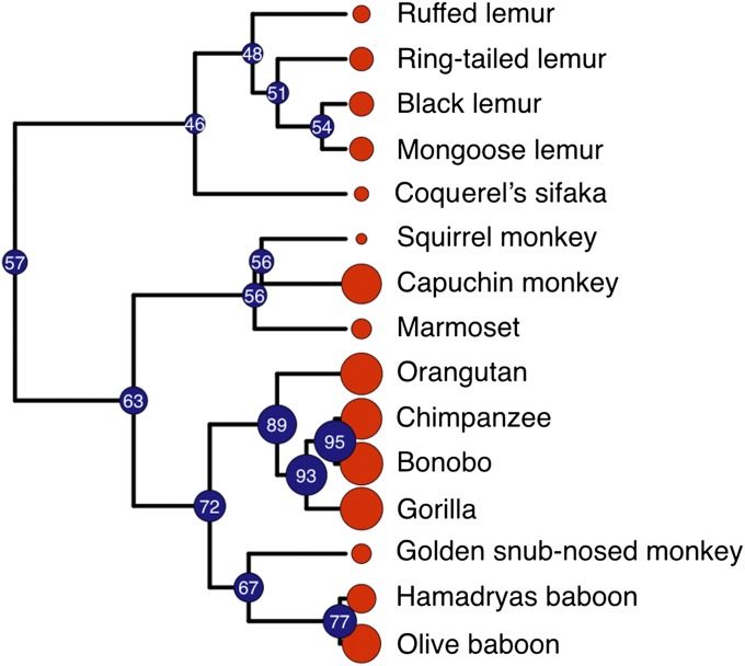 Fig. 4.