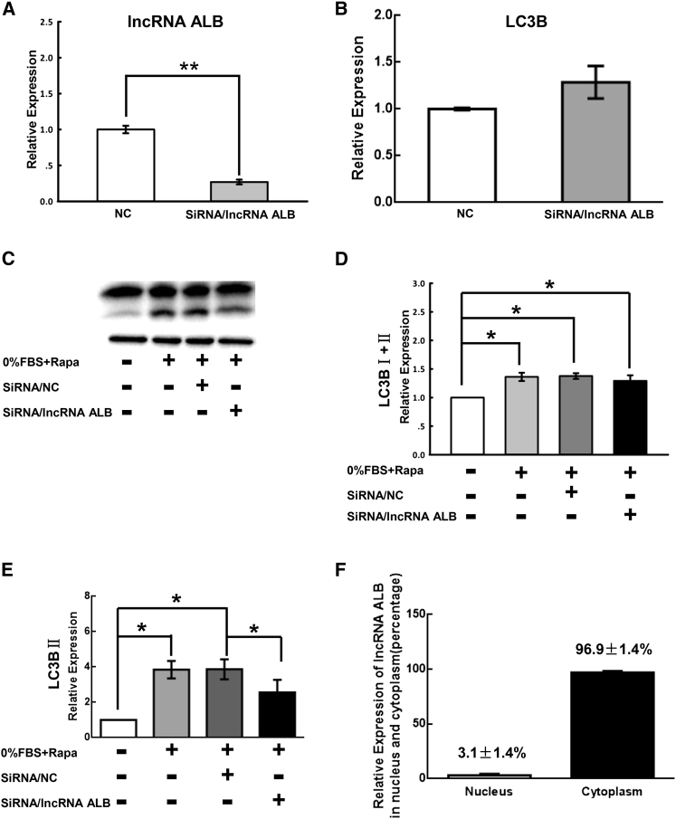 Figure 5