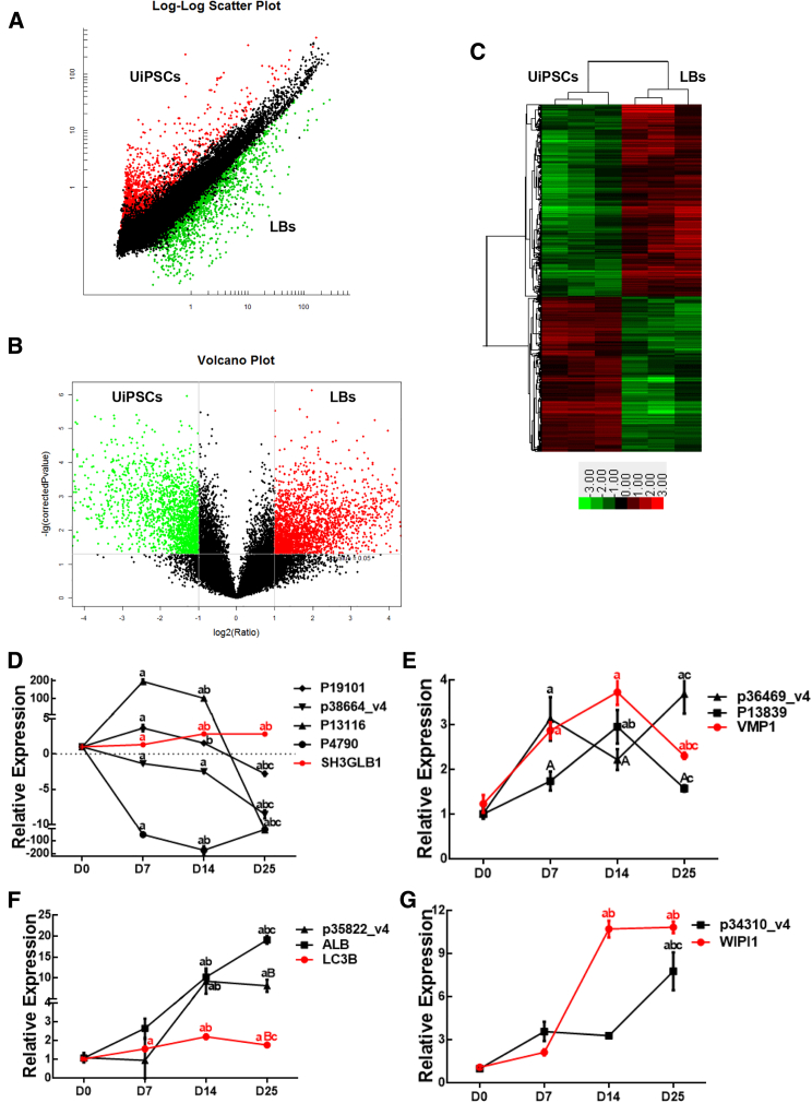 Figure 3