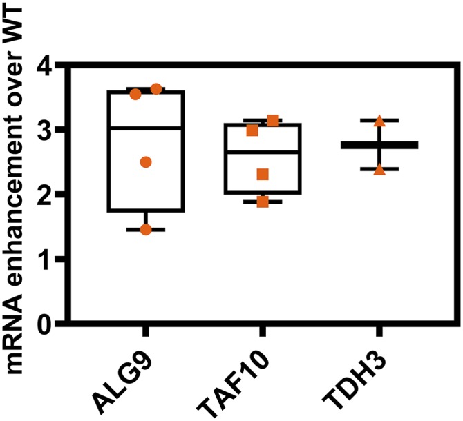 Figure 11