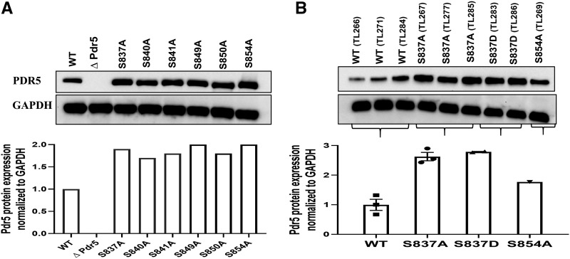 Figure 9