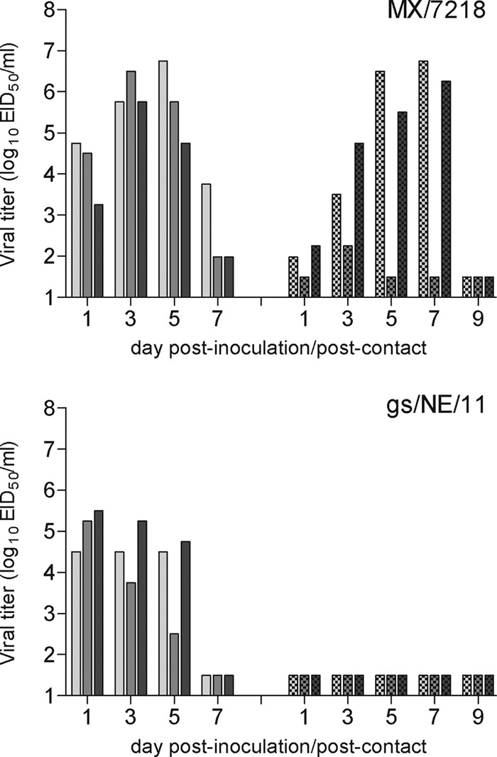 Fig 2