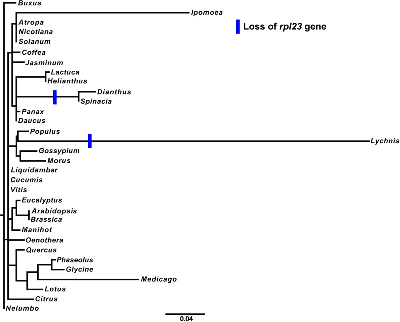 Fig 5