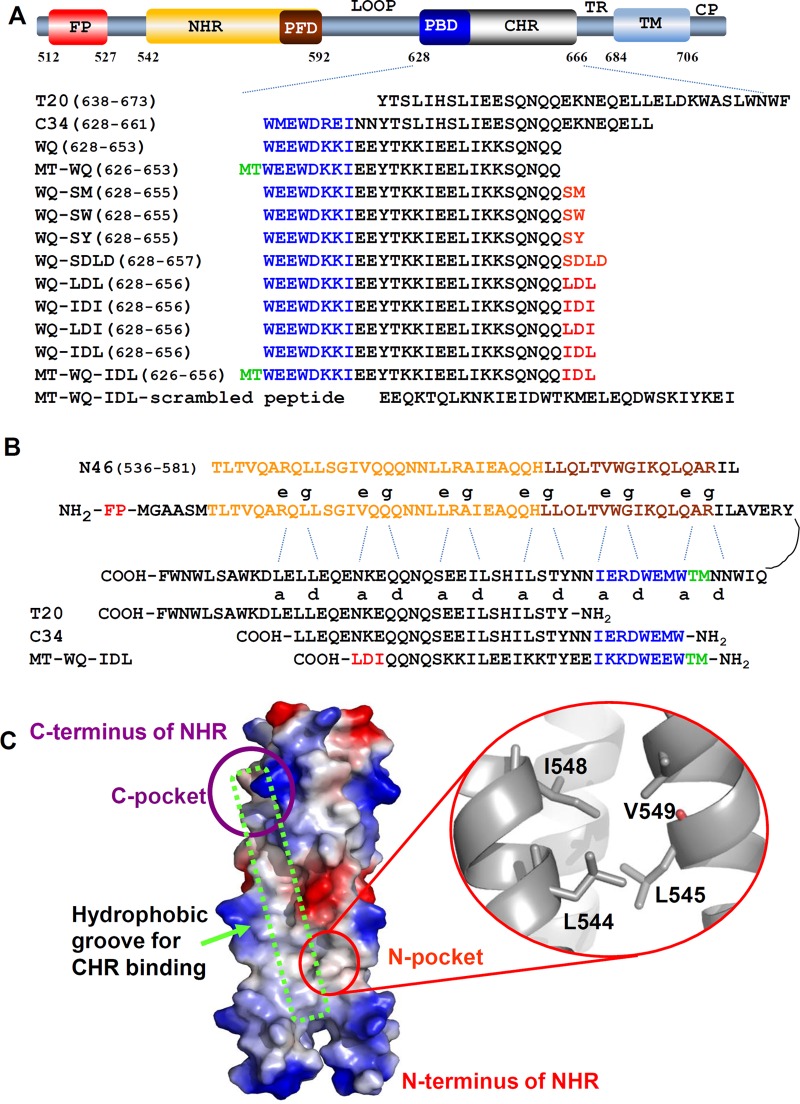 FIG 1