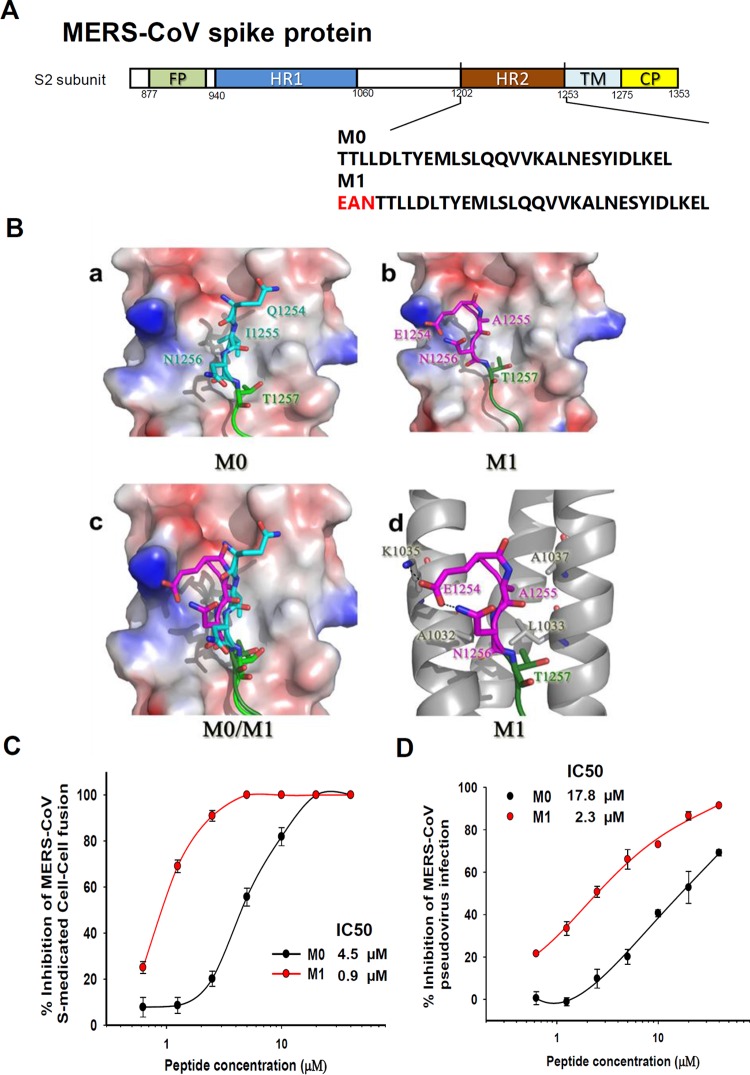 FIG 8