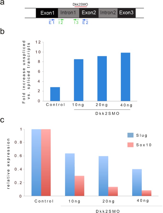 Figure 1—figure supplement 1.