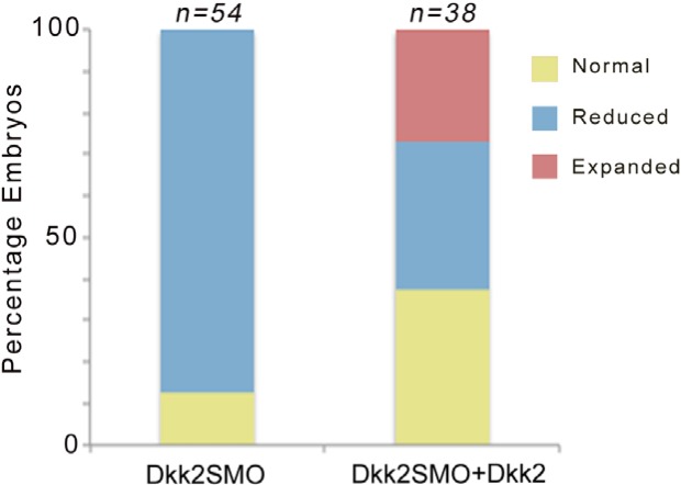 Figure 1—figure supplement 2.