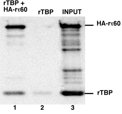 FIG. 7