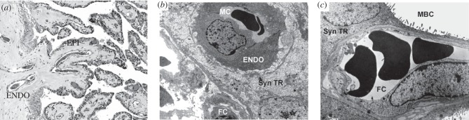 Figure 2.