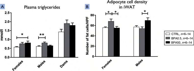 Panel A is a bar graph plotting concentration of plasma triglyceride levels in millimoles per liter (y-axis) in female rats, male rats, and dams (x-axis). Panel B is a bar graph plotting number of fat cells per high power field (y-axis) in female rats, male rats, and dams (x-axis) for the adipocyte cell density in iWAT.