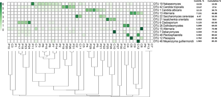 Fig 6