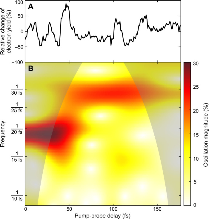 Fig. 2.