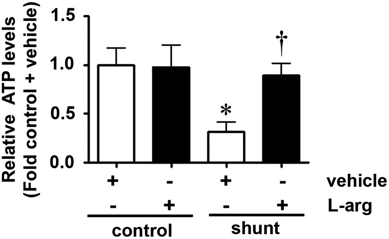 FIG. 6.