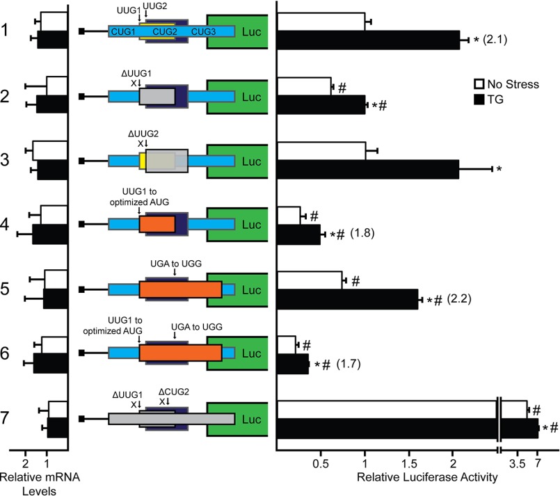 FIGURE 5.