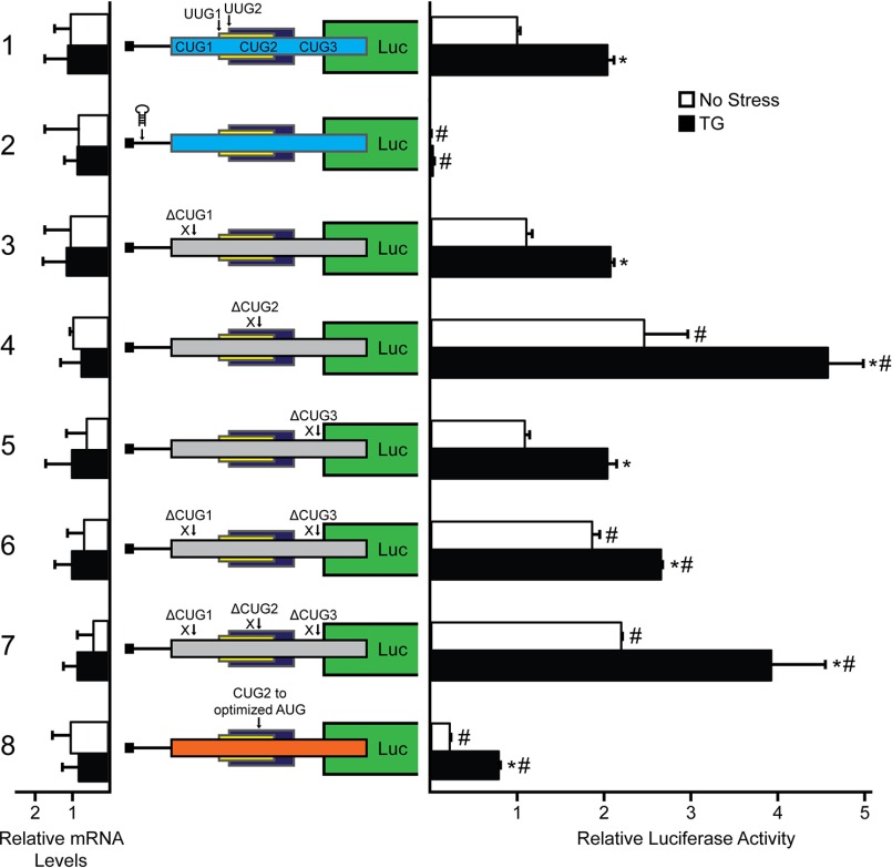 FIGURE 4.